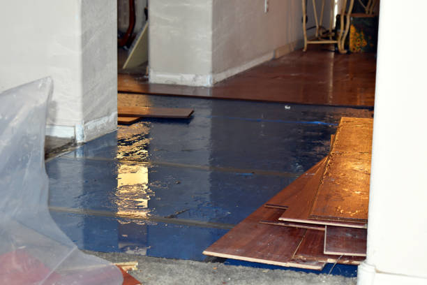 Professional Water Damage Restoration technician working in Webster, TX